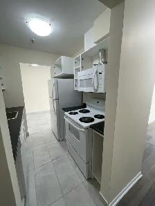 1BR - Unit 102 - Spryfield - Aug 15th - Heat/Water/Pkg Included! - Photo 10