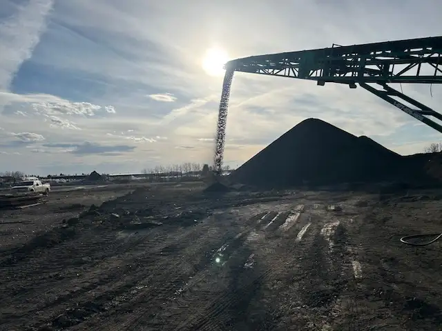 Top Quality Screened Topsoil for Sale - Photo 2
