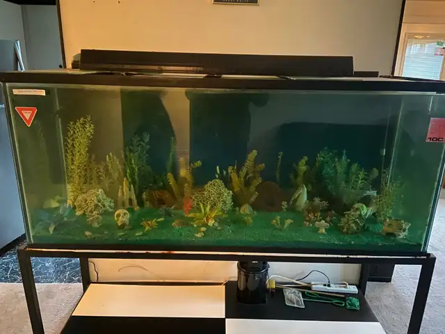 MASSIVE 225 GALLON AQUARIUM SETUP – COMPLETE SHOWPIECE TANK - Photo 2