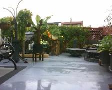 5 1/2, VERDUN, GRANDE TERRASSE PRIVÉ, PRÈS MÉTRO DE L'ÉGLISEDIS