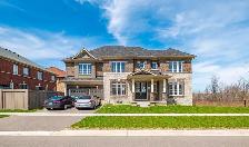 Power of Sale Homes in Brampton – Below Market Deals!