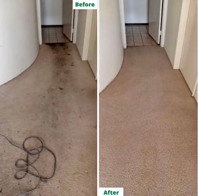 Carpet, Sofa and Mattress Steam cleaning