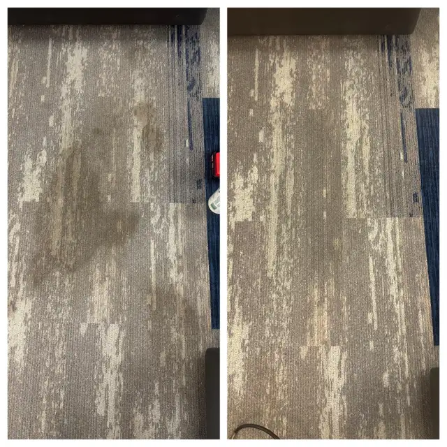 Carpet, Sofa and Mattress Steam cleaning - Photo 4