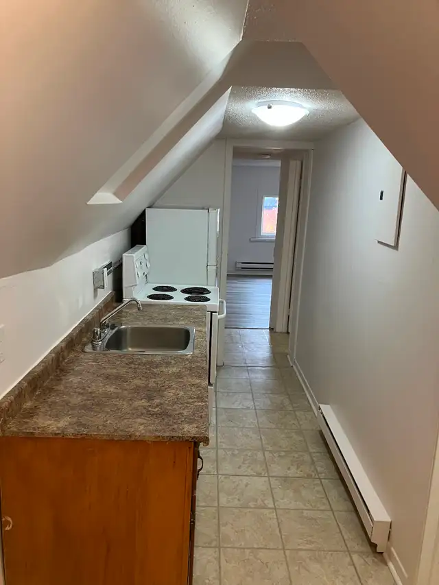 Cozy 1 Bedroom Centretown Apartment for Rent (544 Bay St) - Photo 9