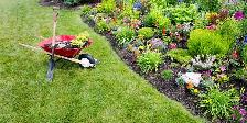 SPRING CLEANUP— YARD CLEANUP, LAWN CARE, GARDEN CLEANUP & JUNK R
