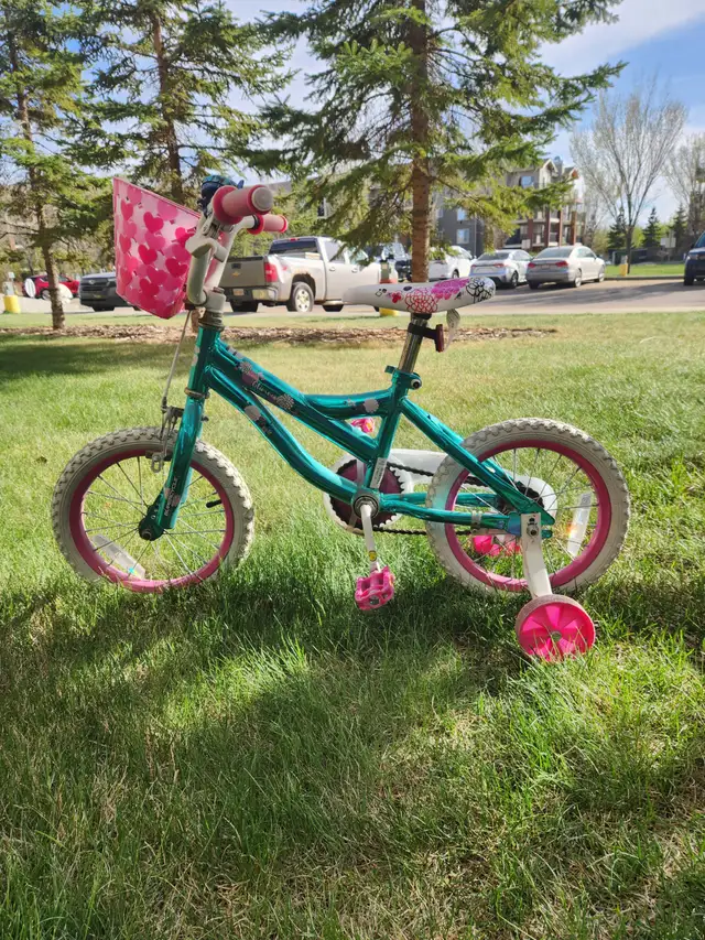 Kids 14' Bicycle with ringer & Basket