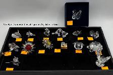 Swarovski Paradise Bugs: Aptera Grasshopper Crystal Pin - Photo 5