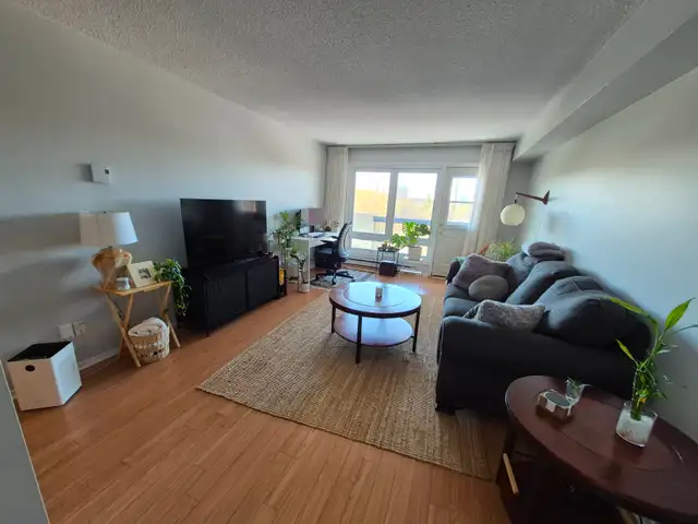 2 bedroom 1 Bath Appartment Available Furnished September 1st - Photo 2