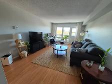 2 bedroom 1 Bath Appartment Available Furnished September 1st - Photo 2