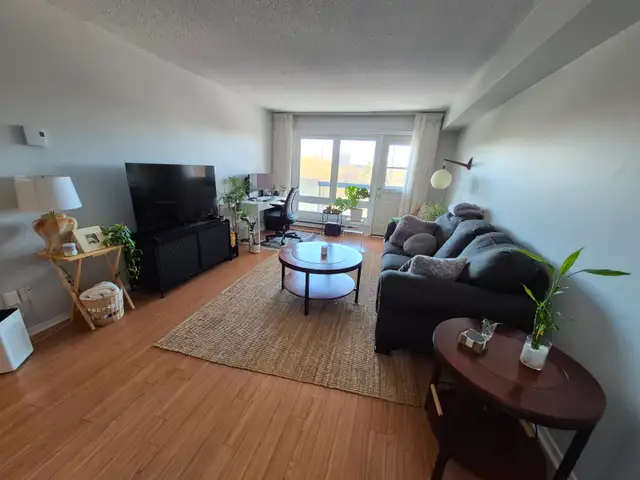 2 bedroom 1 Bath Appartment Available Furnished September 1st - Photo 3