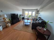 2 bedroom 1 Bath Appartment Available Furnished September 1st - Photo 3