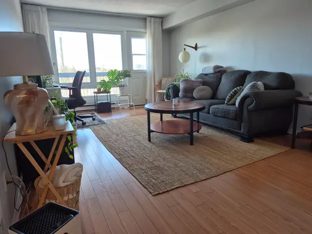 2 bedroom 1 Bath Appartment Available Furnished September 1st - Photo 4