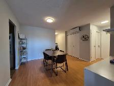 2 bedroom 1 Bath Appartment Available Furnished September 1st - Photo 6
