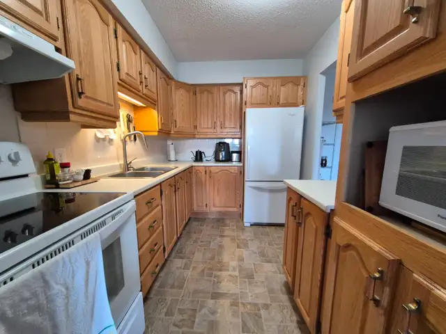 2 bedroom 1 Bath Appartment Available Furnished September 1st - Photo 9