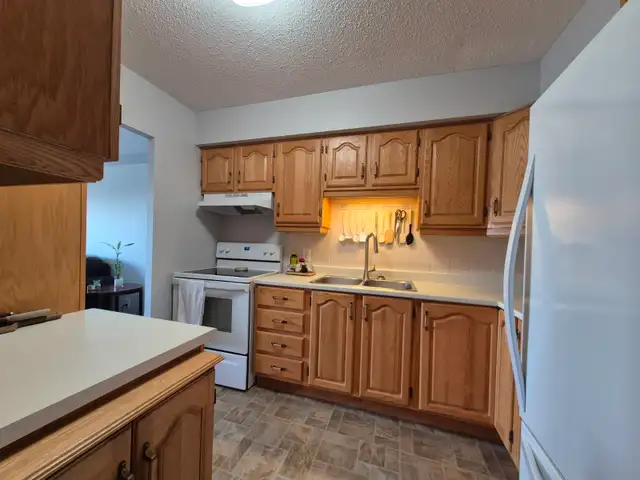 2 bedroom 1 Bath Appartment Available Furnished September 1st - Photo 10