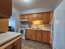 2 bedroom 1 Bath Appartment Available Furnished September 1st - Photo 10