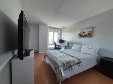 2 bedroom 1 Bath Appartment Available Furnished September 1st - Photo 11