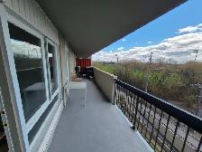 2 bedroom 1 Bath Appartment Available Furnished September 1st - Photo 16
