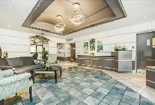 2 bedroom 1 Bath Appartment Available Furnished September 1st - Photo 17