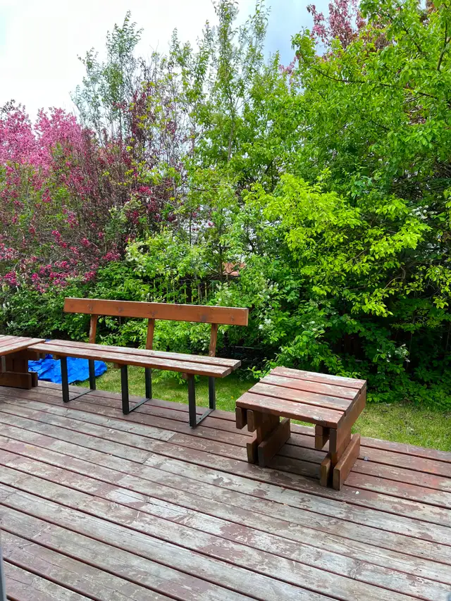 5 Mins Walk to Whitehorn Ctrain/Walmart Logistices & Airport - Photo 6