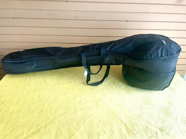 Tanpura Padded Bag Case Female
