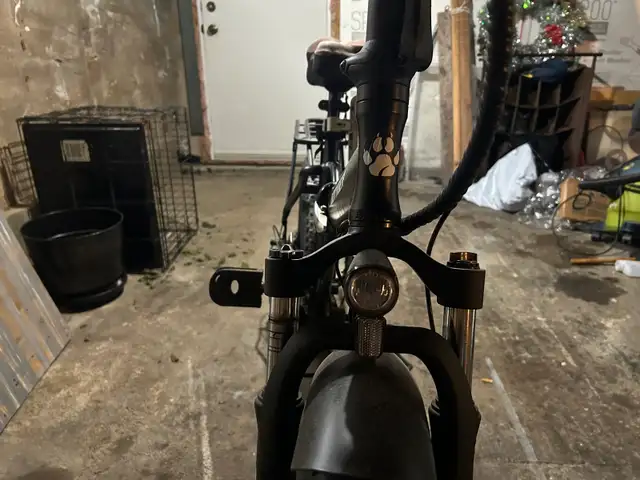 fat bike