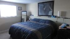 2BDRM/1BA basement with PARKING - Photo 2
