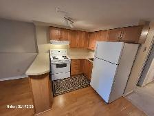 2BDRM/1BA basement with PARKING - Photo 6