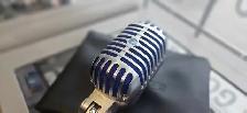 Shure Mic Super 55 Professional Microphone - Photo 4