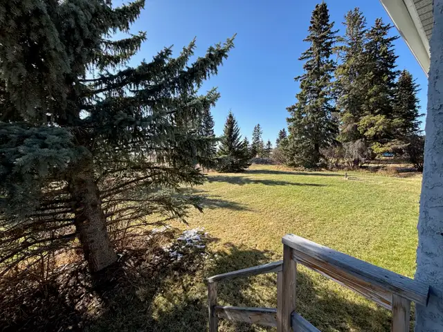Acreage For Rent - Photo 4