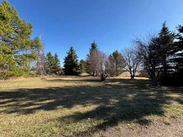 Acreage For Rent - Photo 5