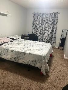 Large Furnished Bedroom for rent. Brampton. $950