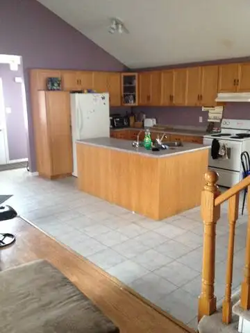 Basement apartment (Newly renovated and being finished) - Photo 2