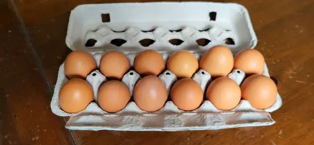 Organic Pasture Raised Farm Fresh Eggs - Photo 2