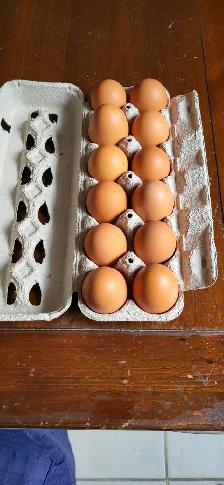Organic Pasture Raised Farm Fresh Eggs - Photo 3