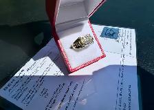#778 - 10kt White & Yellow Rolex Style Diamond Ring, Size 10 - Photo 2