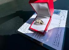 #778 - 10kt White & Yellow Rolex Style Diamond Ring, Size 10 - Photo 8