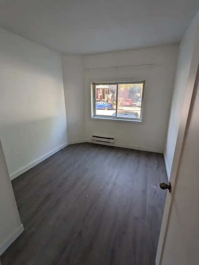 bachalor / 1  bedroom for rent in Sandy Hill - Photo 4