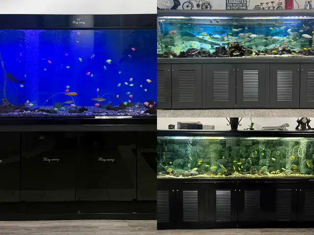 280 GALLON FISH TANK AVAILABLE - $2000/EACH FISH NOT INCLUDED