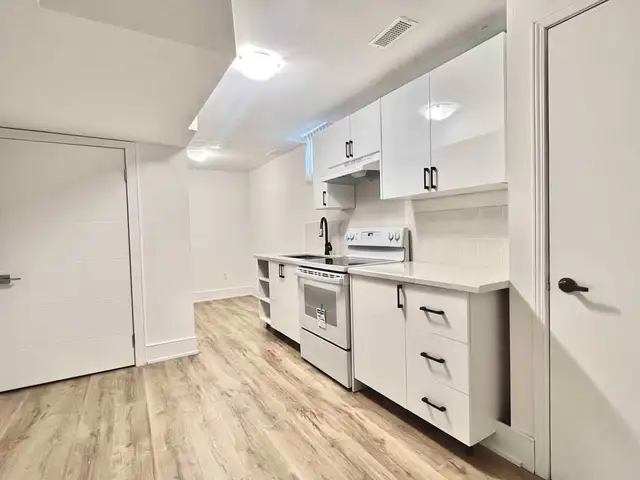 Bright & Spacious Renovated Basement Apartment for Rent – Woodbr