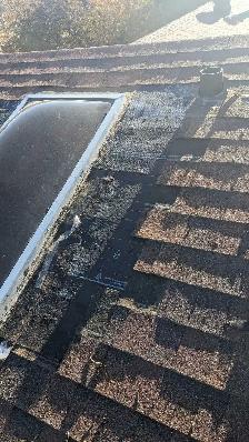 seasonal Summer Roofing Job - Photo 3