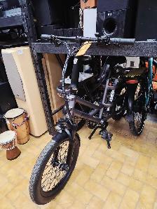 Vélo Électrique neuf cargo