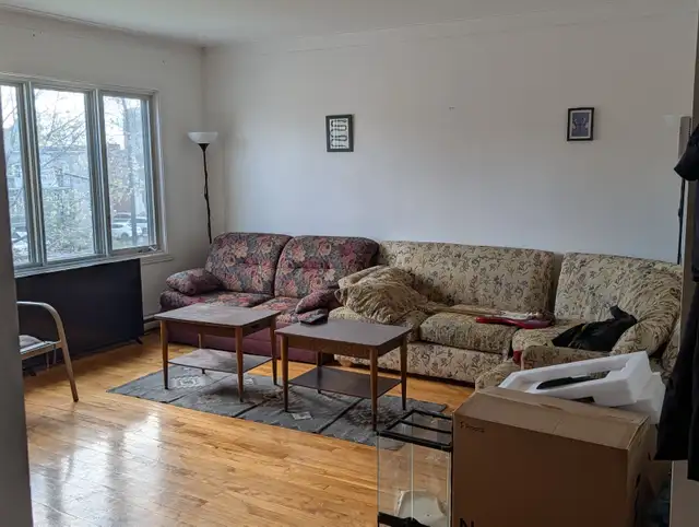 ROOM FOR RENT STARTING JUNE IN SAINT MICHEL MONTRÉAL - Photo 4