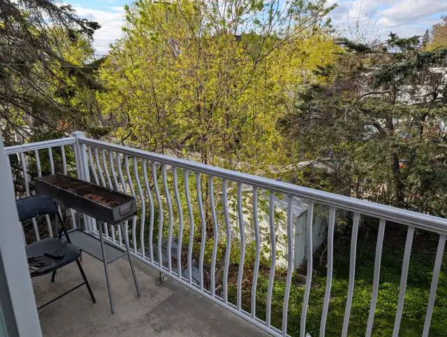 ROOM FOR RENT STARTING JUNE IN SAINT MICHEL MONTRÉAL - Photo 8