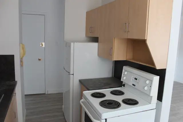 1 Bedroom Apartment Available: 78 Hargrave Street! - Photo 2