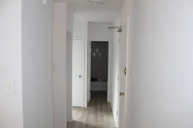 1 Bedroom Apartment Available: 78 Hargrave Street! - Photo 3