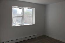 1 Bedroom Apartment Available: 78 Hargrave Street! - Photo 4