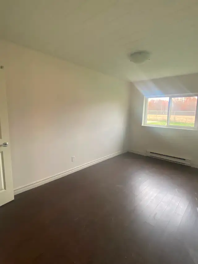 Spacious Renovated Oversized 3-Bedroom—Available Immediately!! - Photo 6