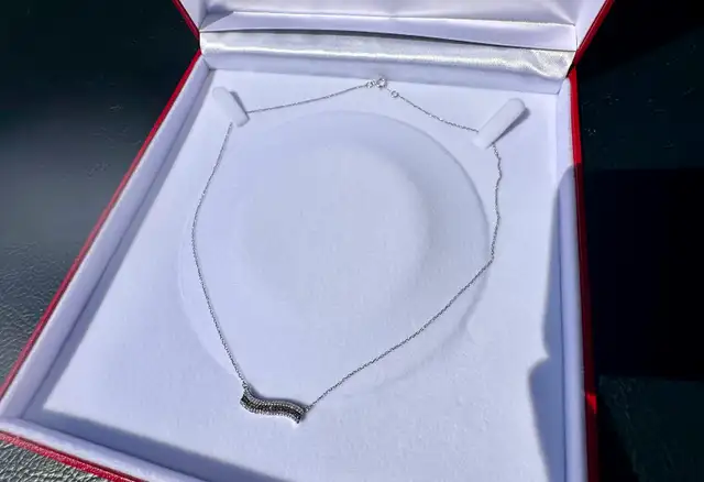 #789 - 1/4 Carat Diamond & 10k Necklace 17" - Photo 4