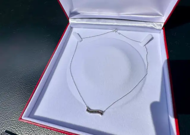 #789 - 1/4 Carat Diamond & 10k Necklace 17" - Photo 5